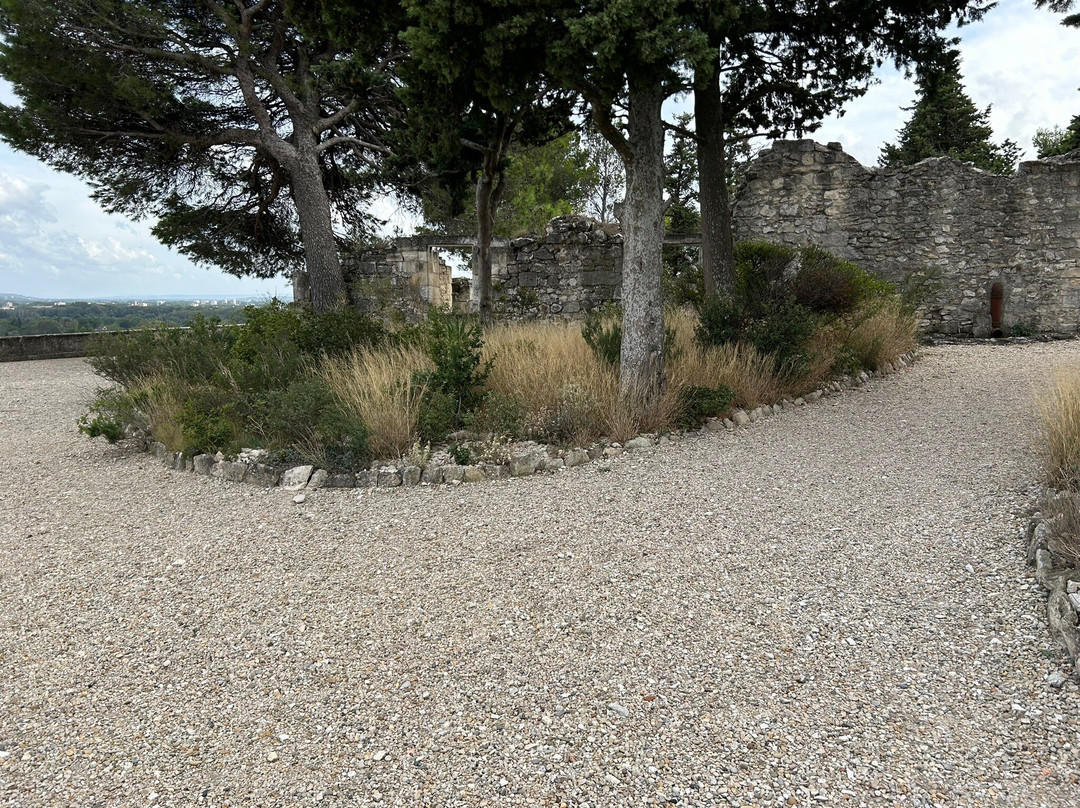 Jardins de l'abbaye Saint-André景点图片