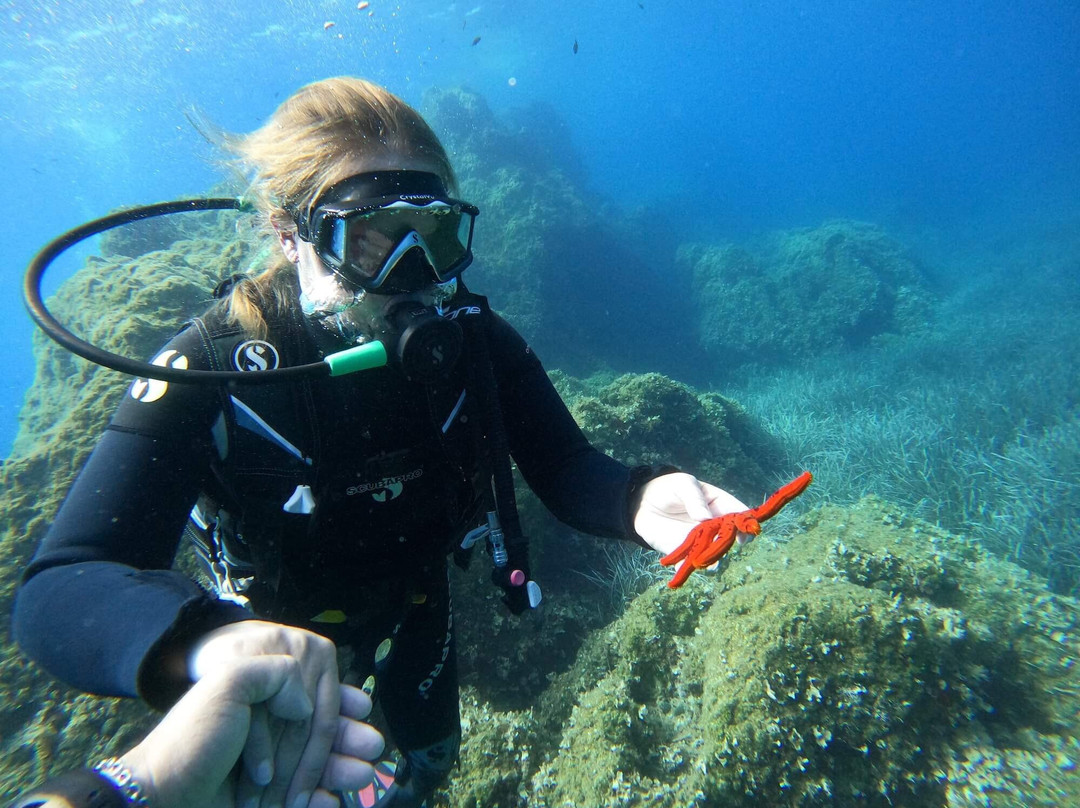 Deep Blue Divers-塞沃塔必去景点