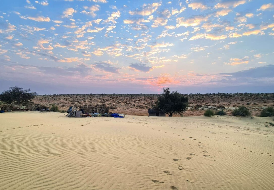 Diamond Camel Safari jaisalmer-杰伊瑟尔梅尔必去景点