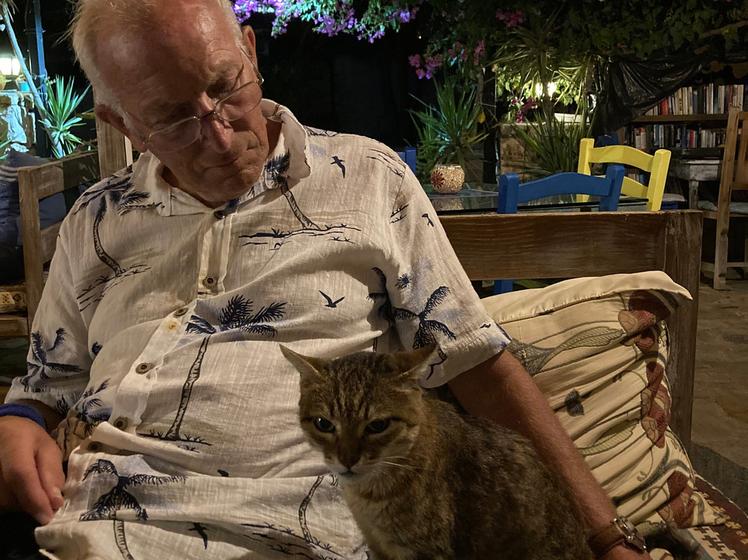 Pasha Apart-Hotel主图