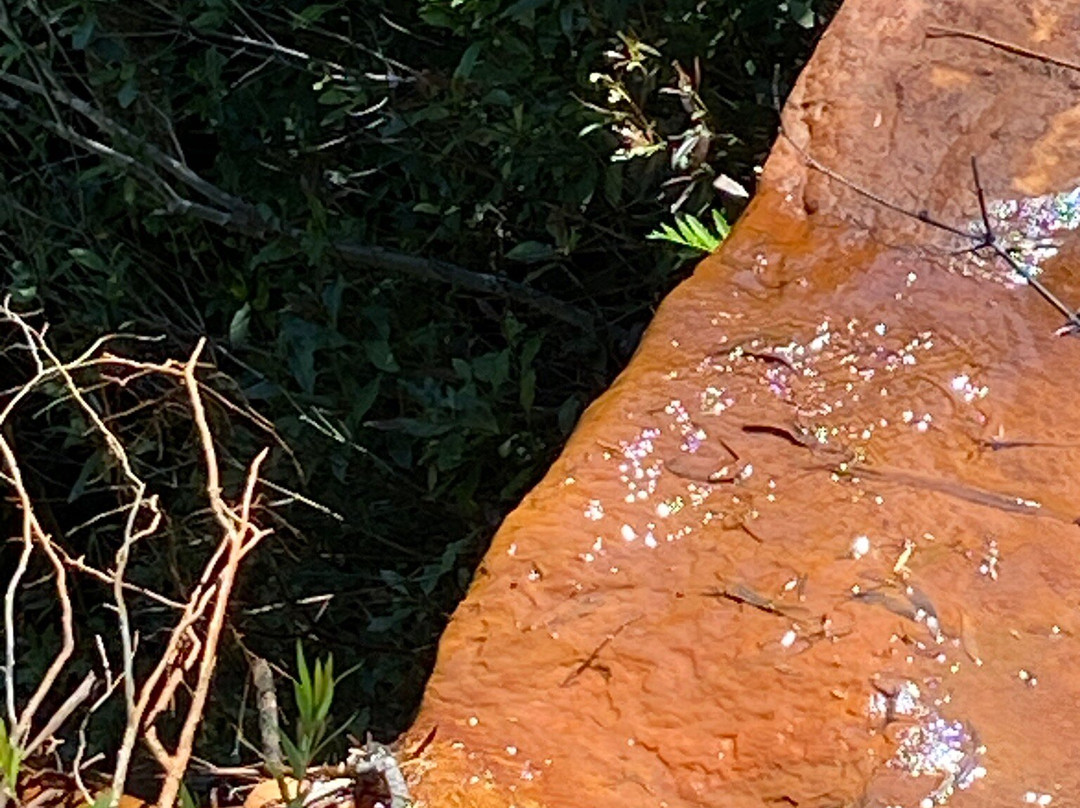 North Lawson Park景点图片