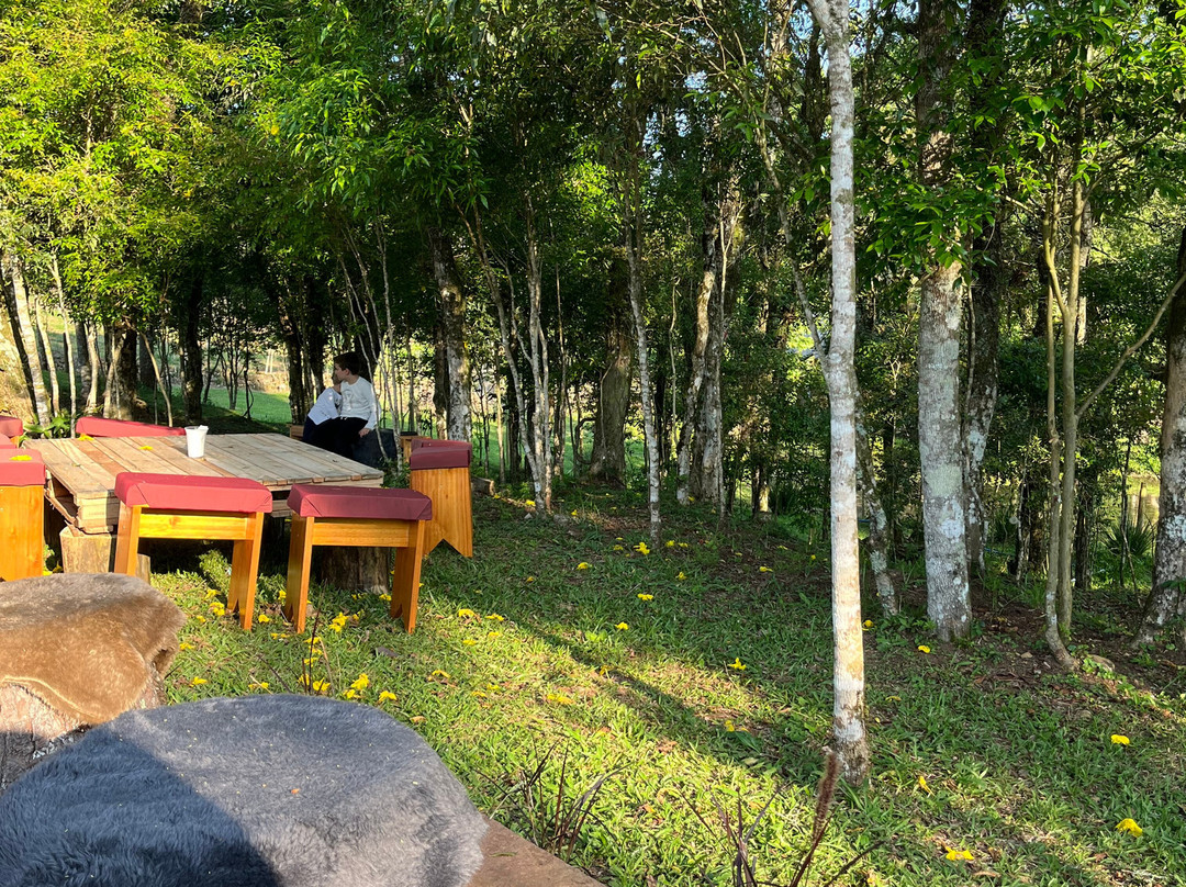 Bznjabier Cervejaria E Beer Garden