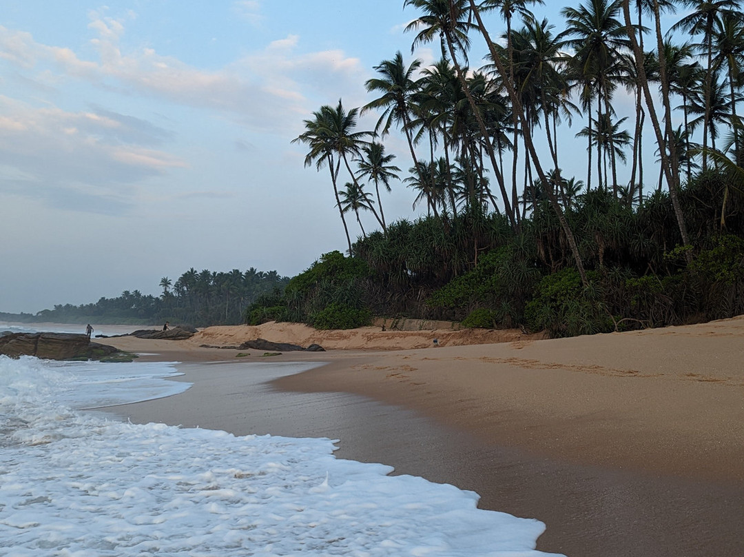 Visit Sri Lanka Travels景点图片