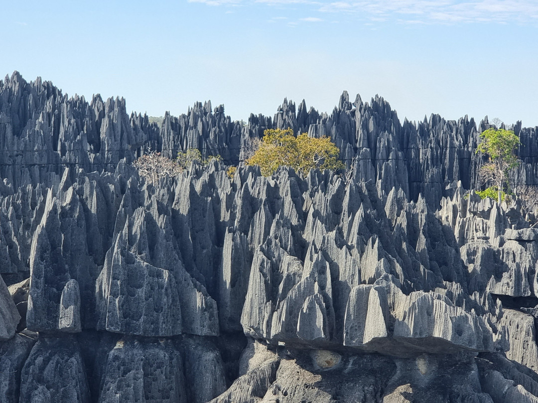 Madagascar Ideal Adventures-安齐拉贝必去景点