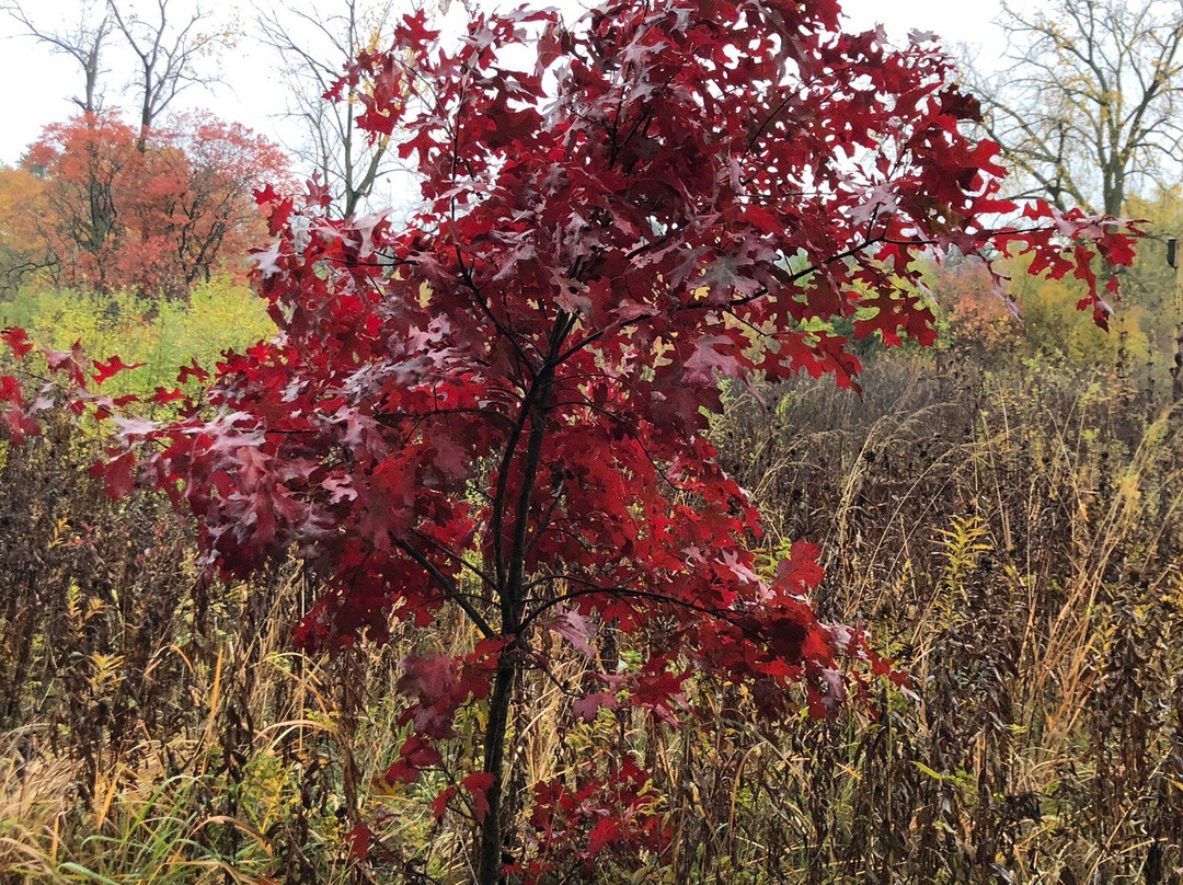 Aldo Leopold Nature Center-Monona必去景点