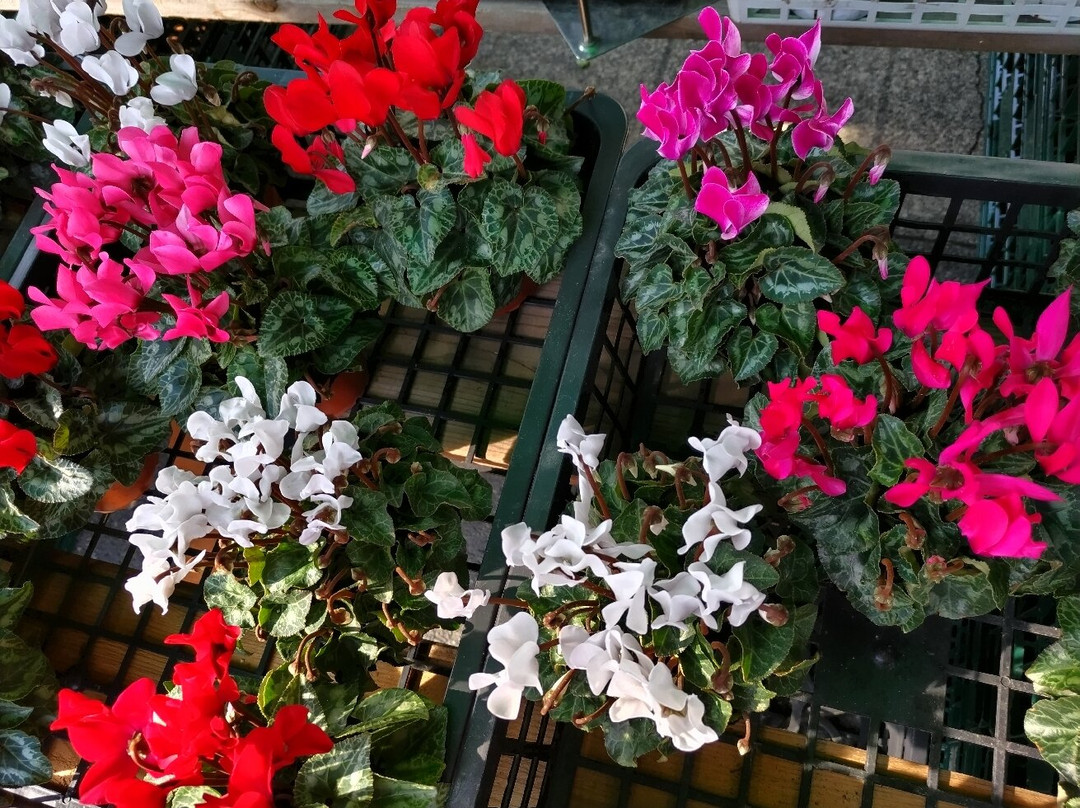 Michi no Eki Minano-皆野町必去景点