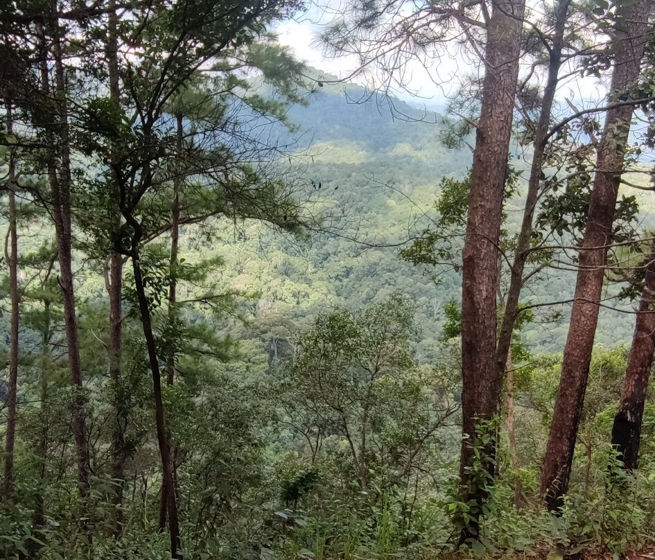 Thailand Mountain Trail景点图片