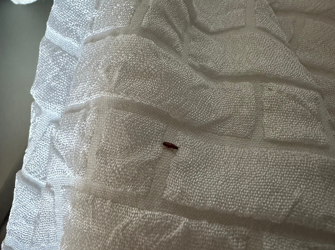 Homewood Suites By Hilton Lawton, Ok主图