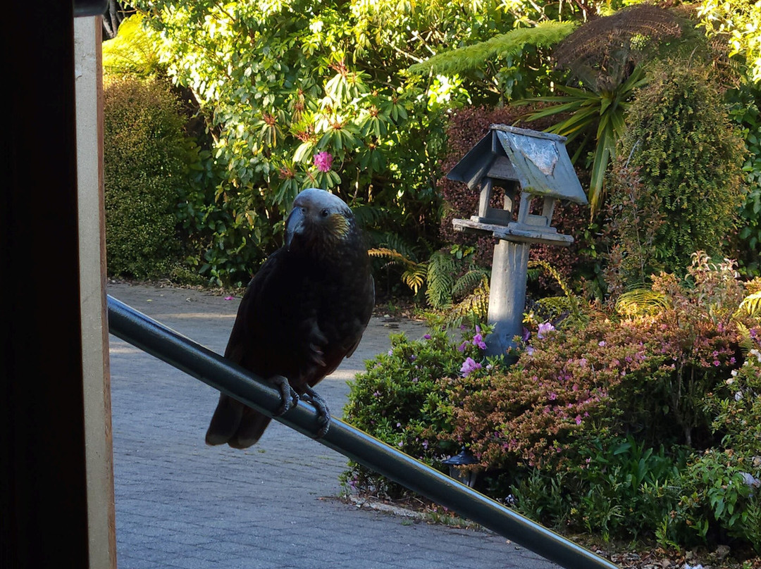 Rakiura Retreat主图