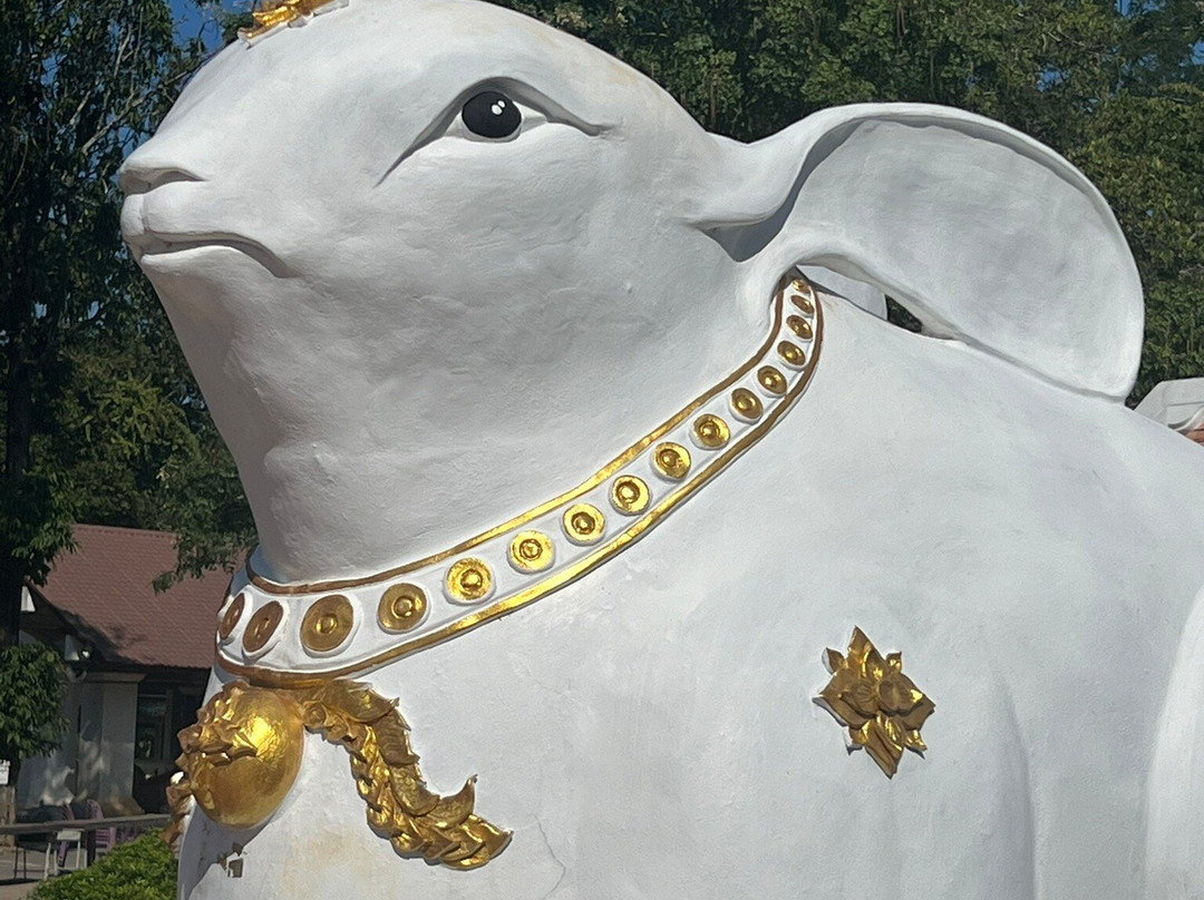 帕达彻杏寺景点图片