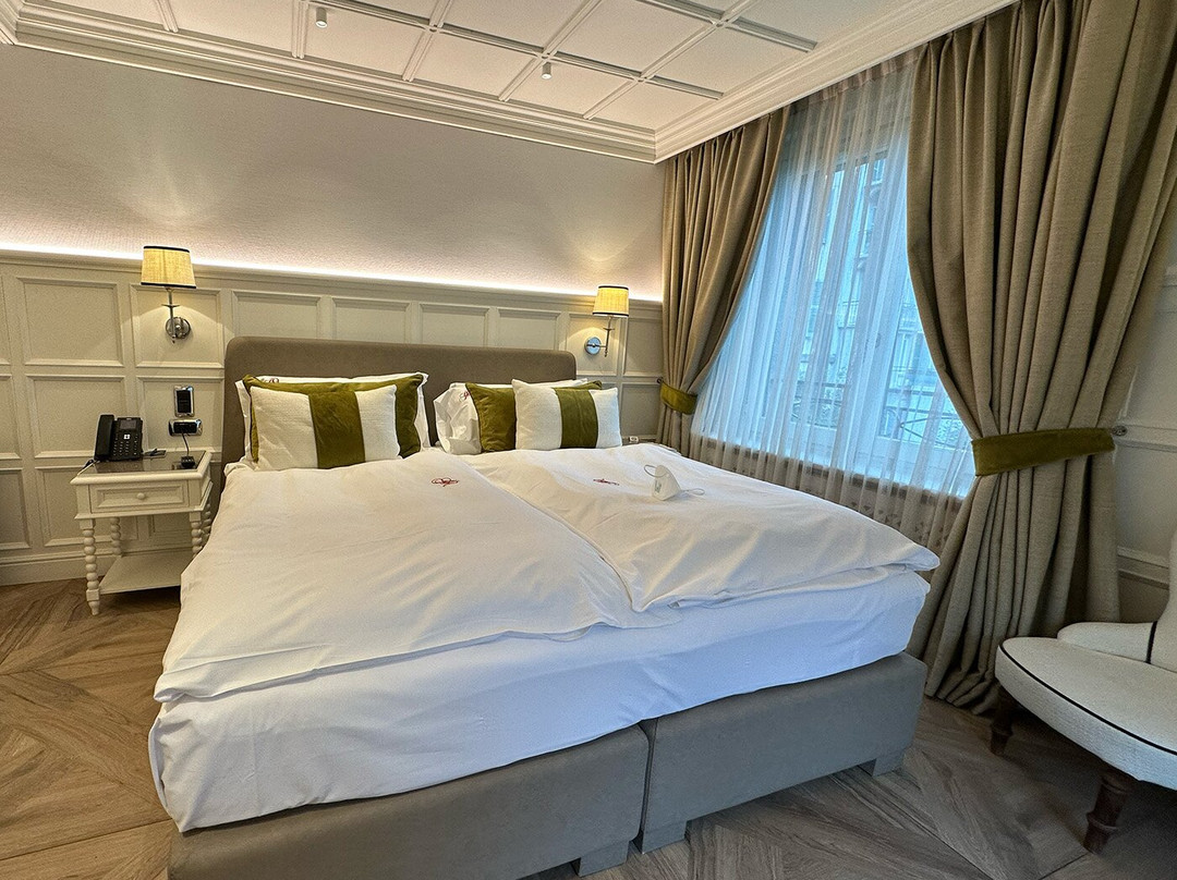 Grand Hôtel des Alpes主图