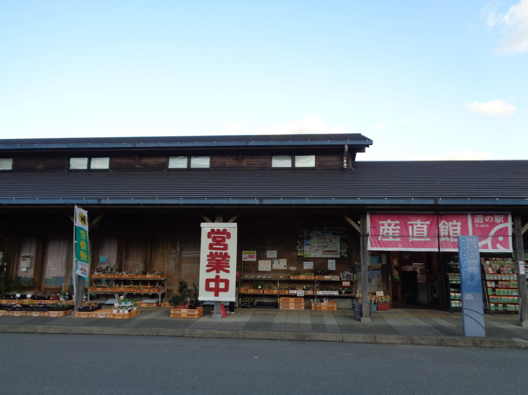 Michi no Eki Hiwasa景点图片