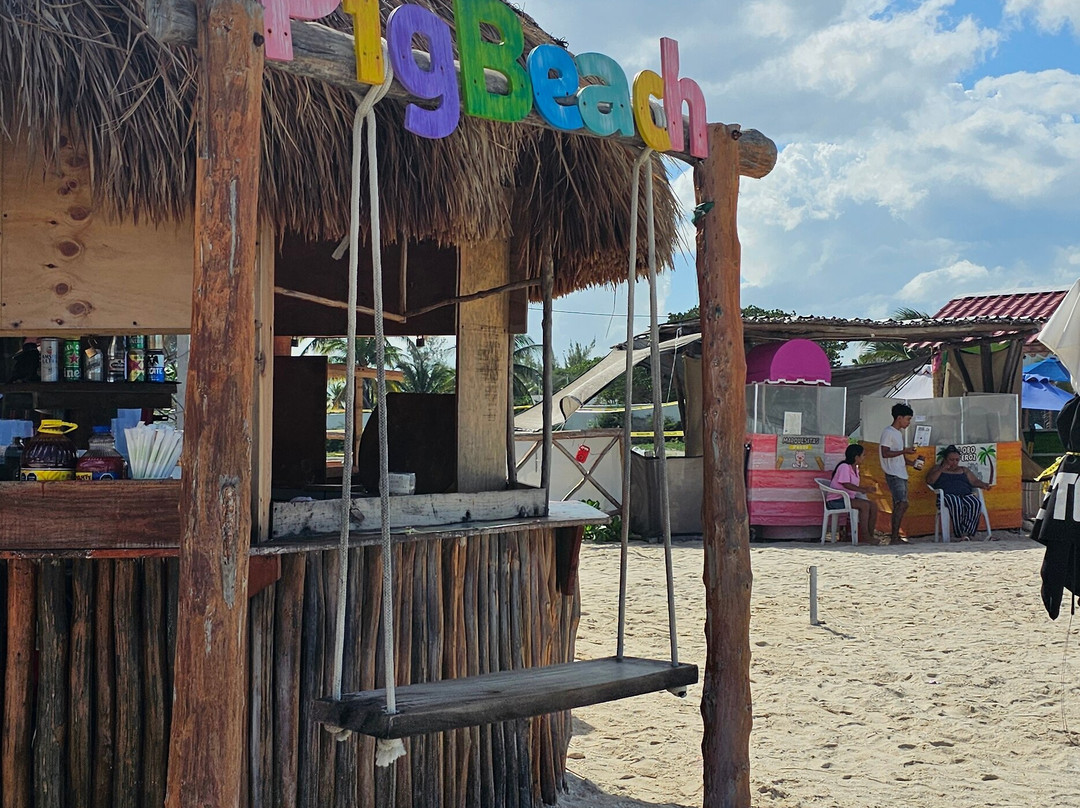 Pig Beach Progreso-Progreso必去景点