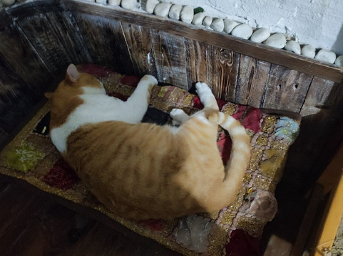 Granada Tours-格拉纳达必去景点