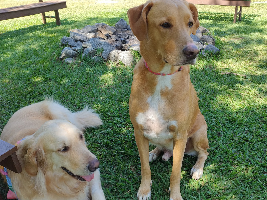 Pousada Gaia Viva主图