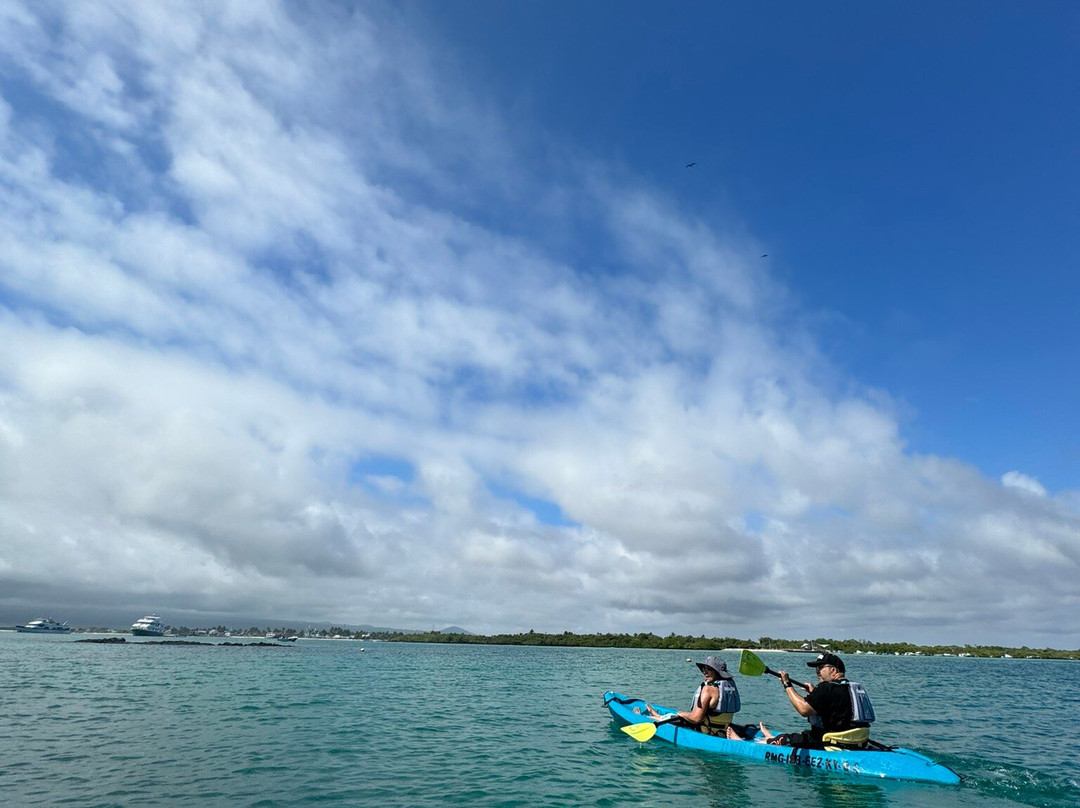 Sharksky Ecoadventures Galapagos景点图片