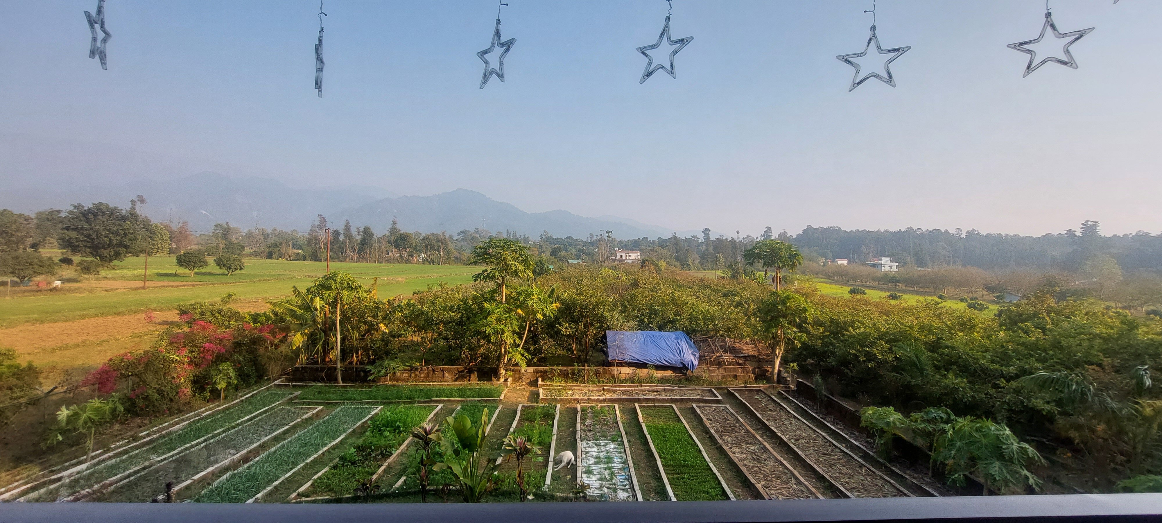 Forest Side Farm-酒店景观
