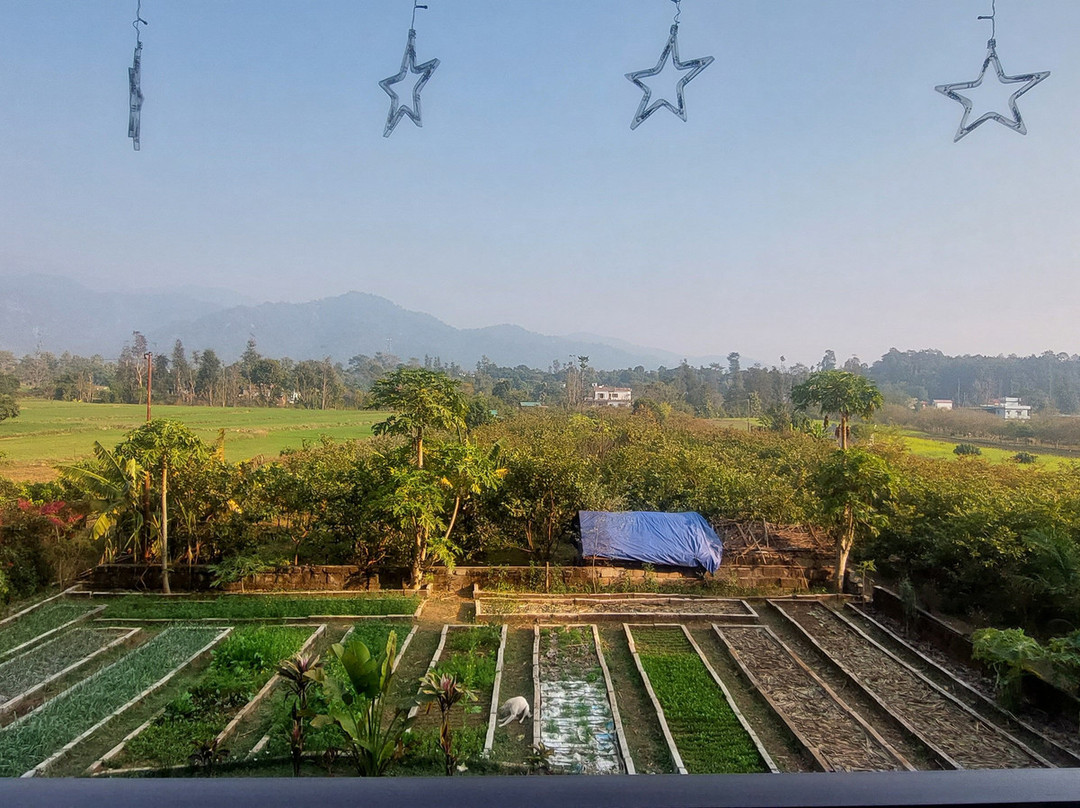 Forest Side Farm主图