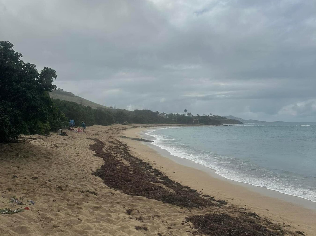 Shoy Beach-圣克鲁斯必去景点