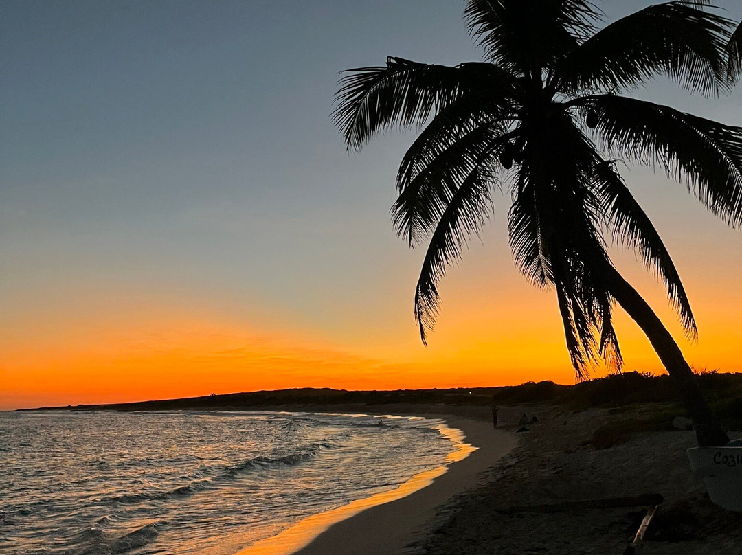 Playa Chen Rio-考祖梅必去景点