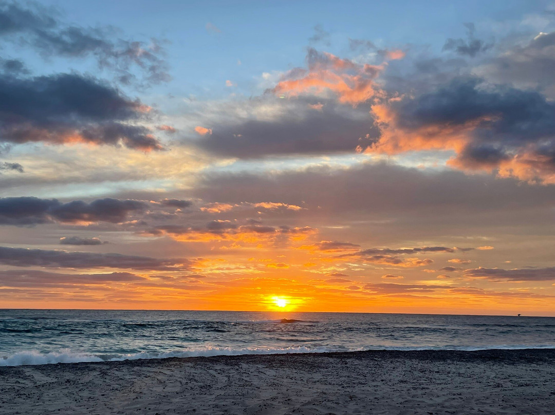 Cabo Pulmo Watersports-Cabo Pulmo必去景点