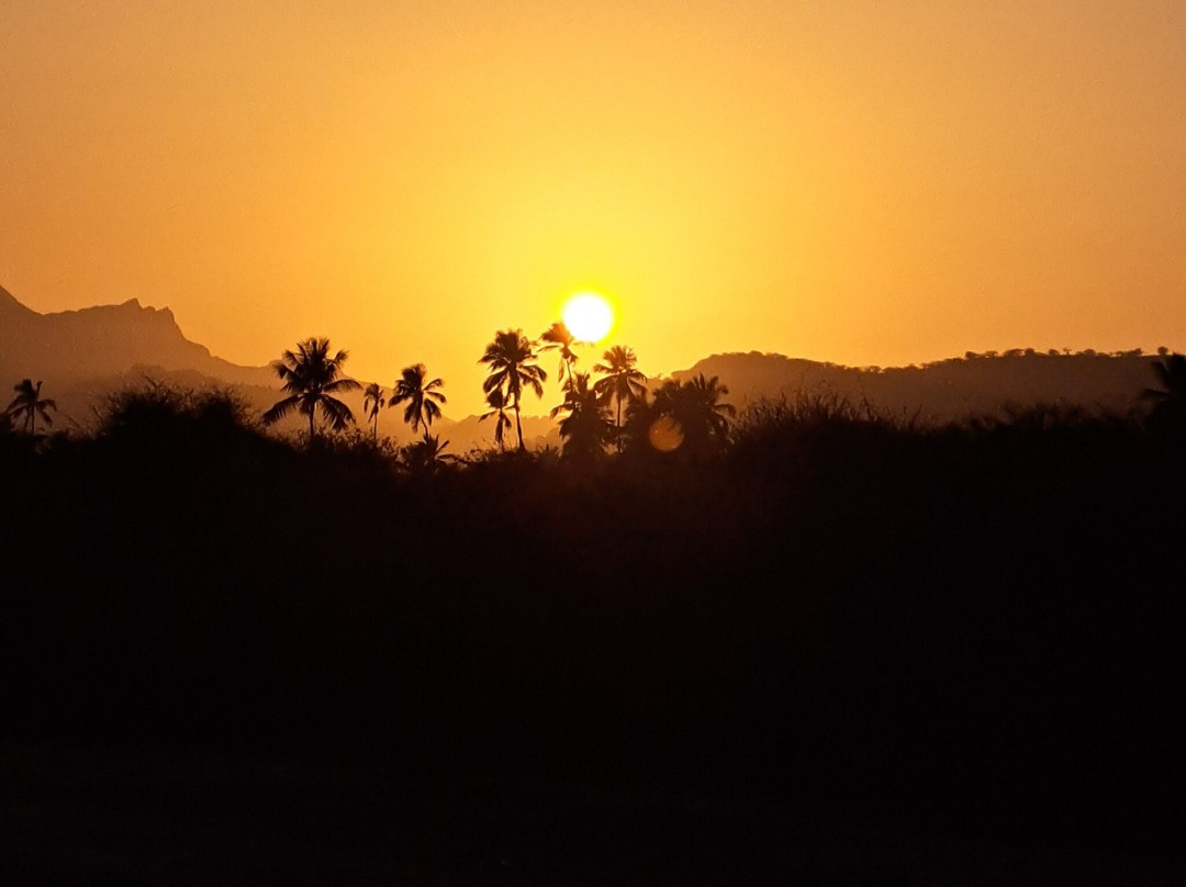 Falucho Paradise Beach