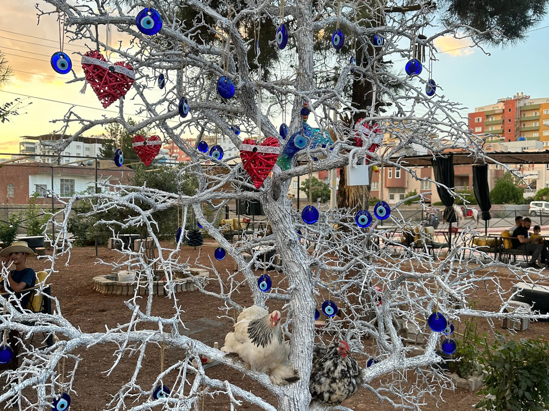 Midyatta bahcamatite atciftligi-Kiziltepe必去景点