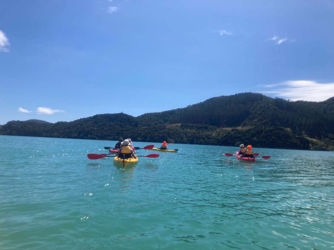 Northland Outdoor Adventures景点图片