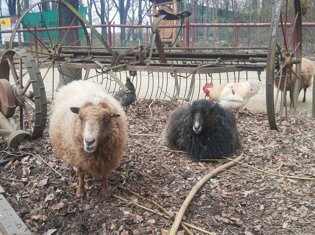 Tierpark Zittau-Zittau必去景点