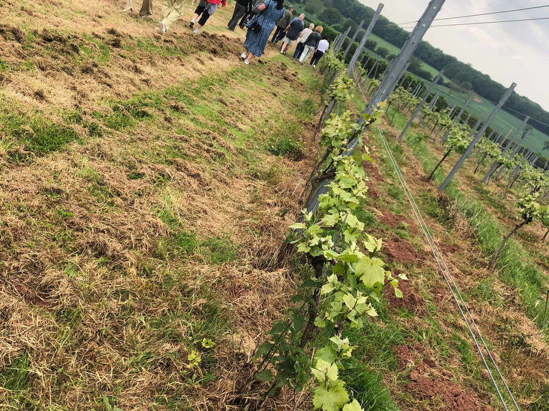 Blabers Hall Wine Estate-Fillongley必去景点
