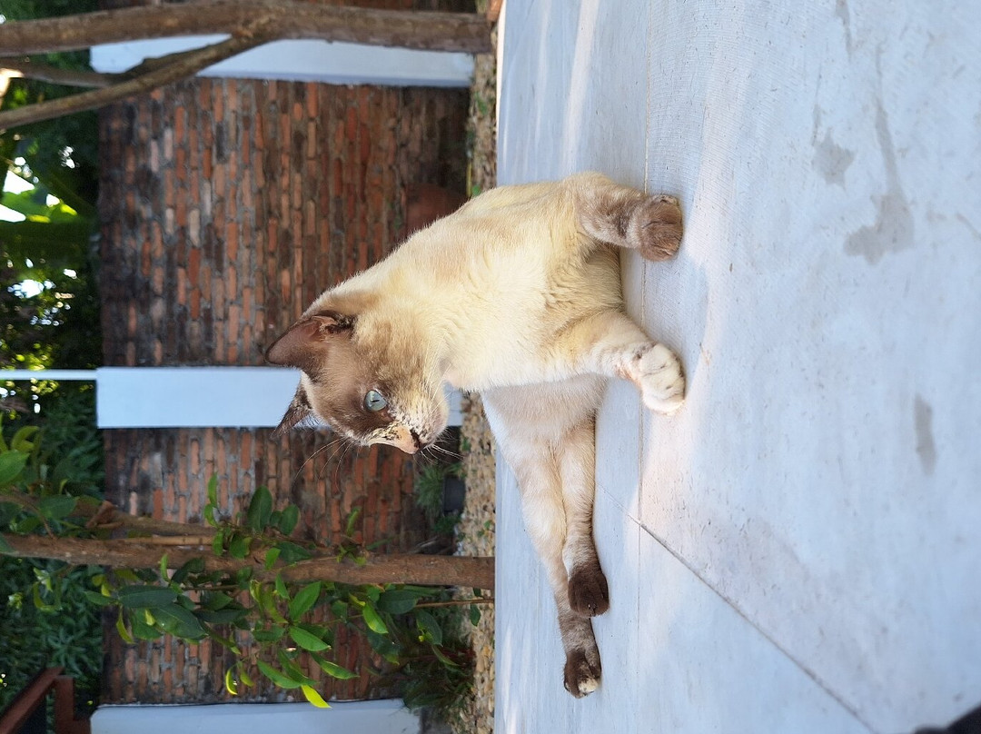 Pousada Maktub主图