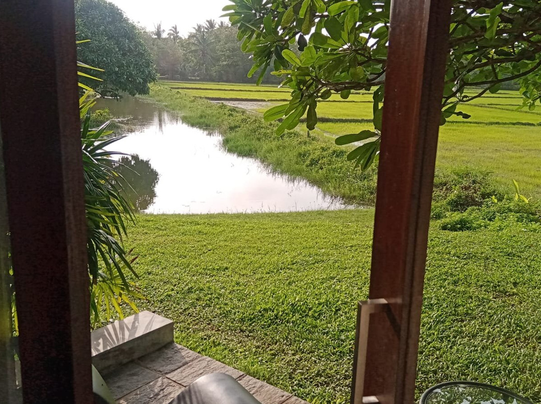 齐塔拉度假村主图