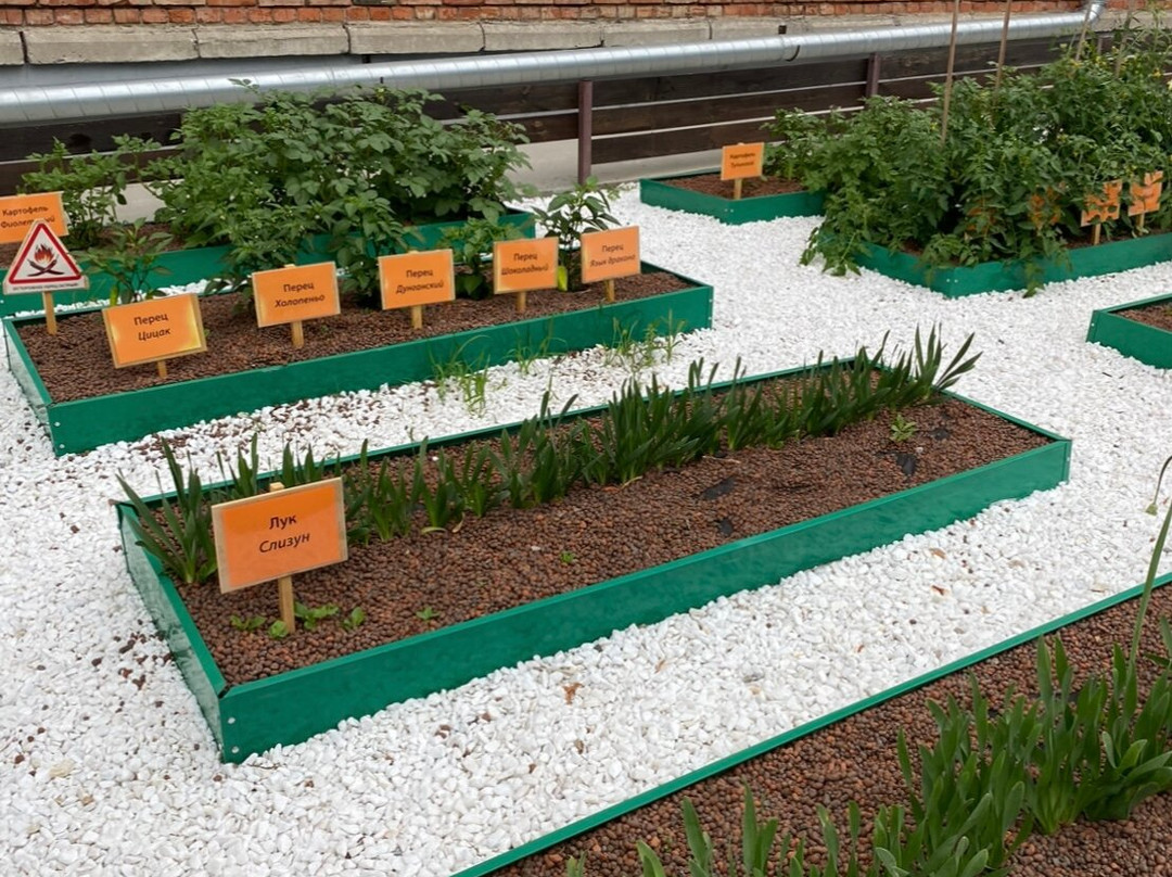 Vavilovsky vegetable garden-Akademgorodok必去景点