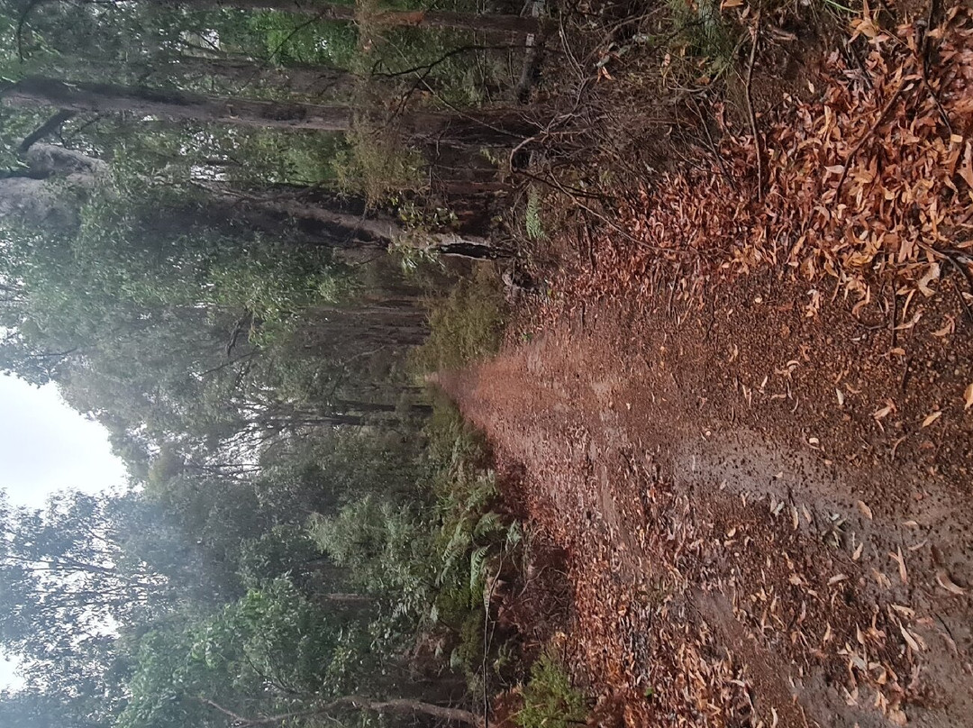 Marrinup Pow Camp景点图片