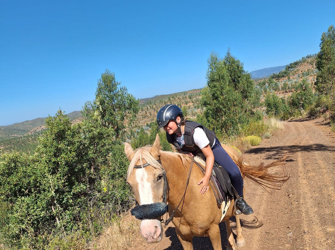 Country Riding Centre-Silves必去景点
