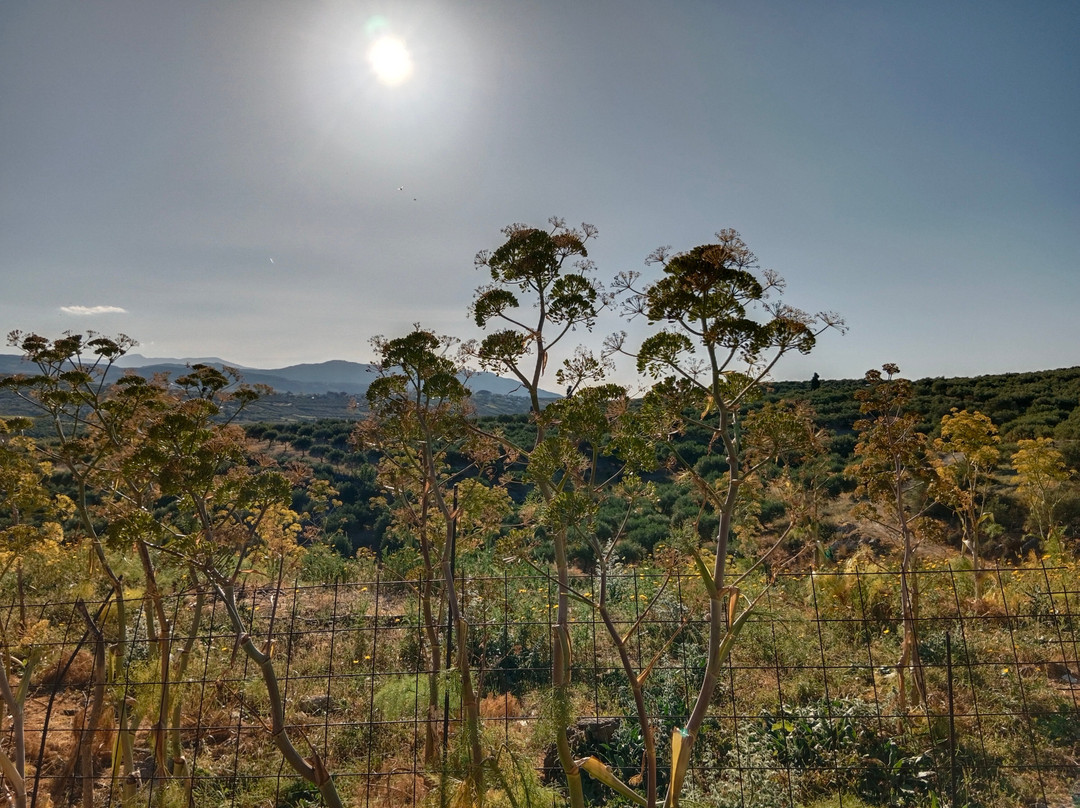soulouksina cultural e-bike experience-Episkopi必去景点