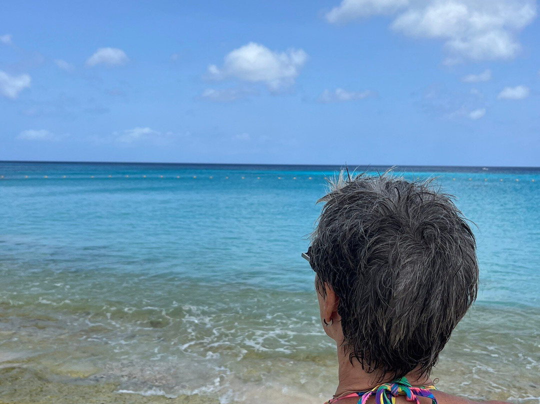 Landhuis Klein Santa Martha主图