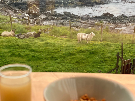 Havgrim Seaside Hotel 1948主图