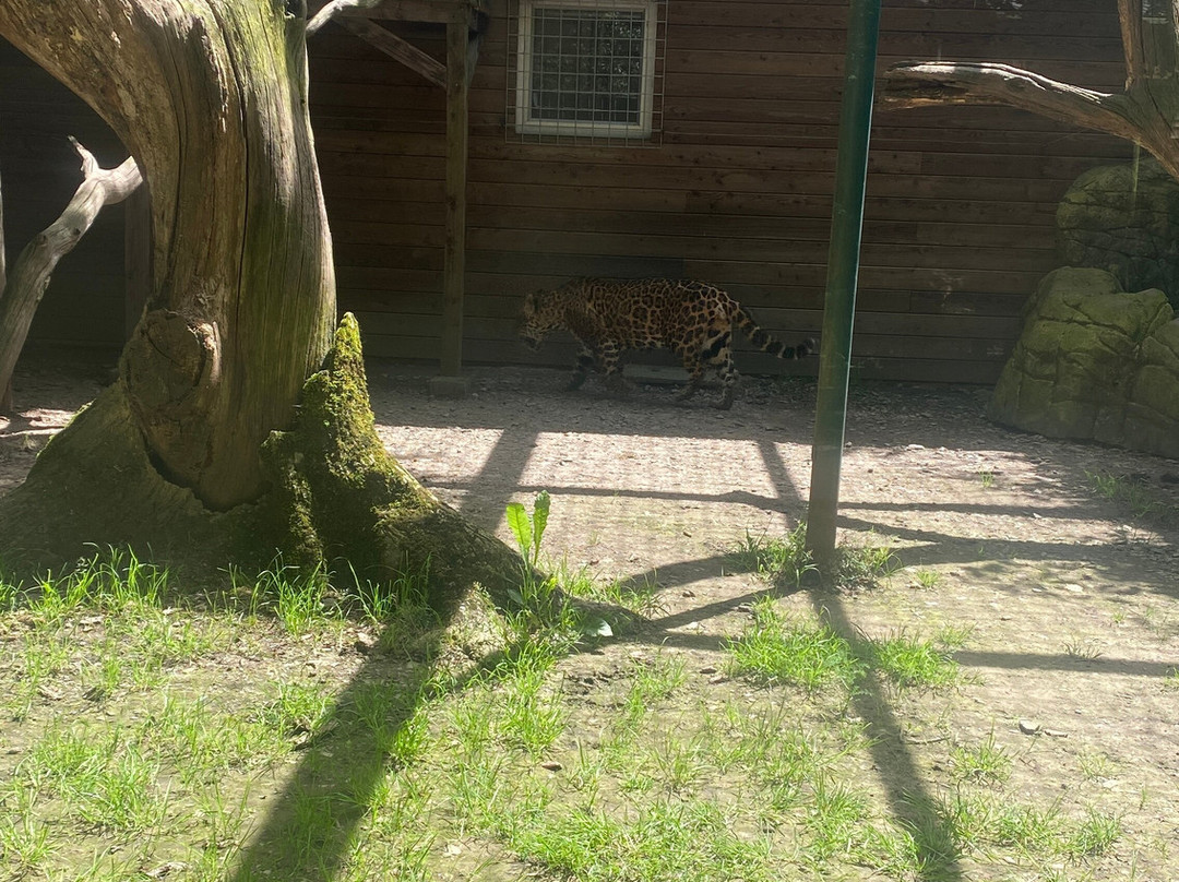 Bouillon Wildlife Park-布容必去景点