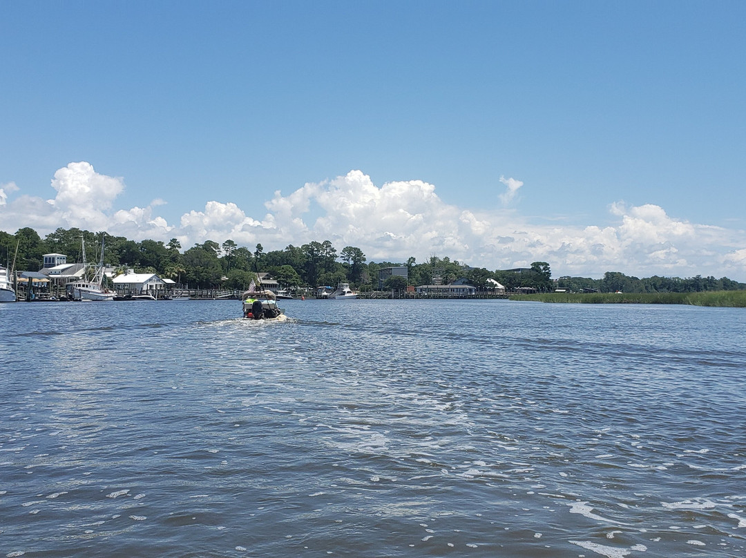 Carolinas Coastal Adventure Tours景点图片