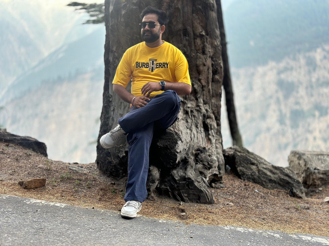 Hotel Kailash View