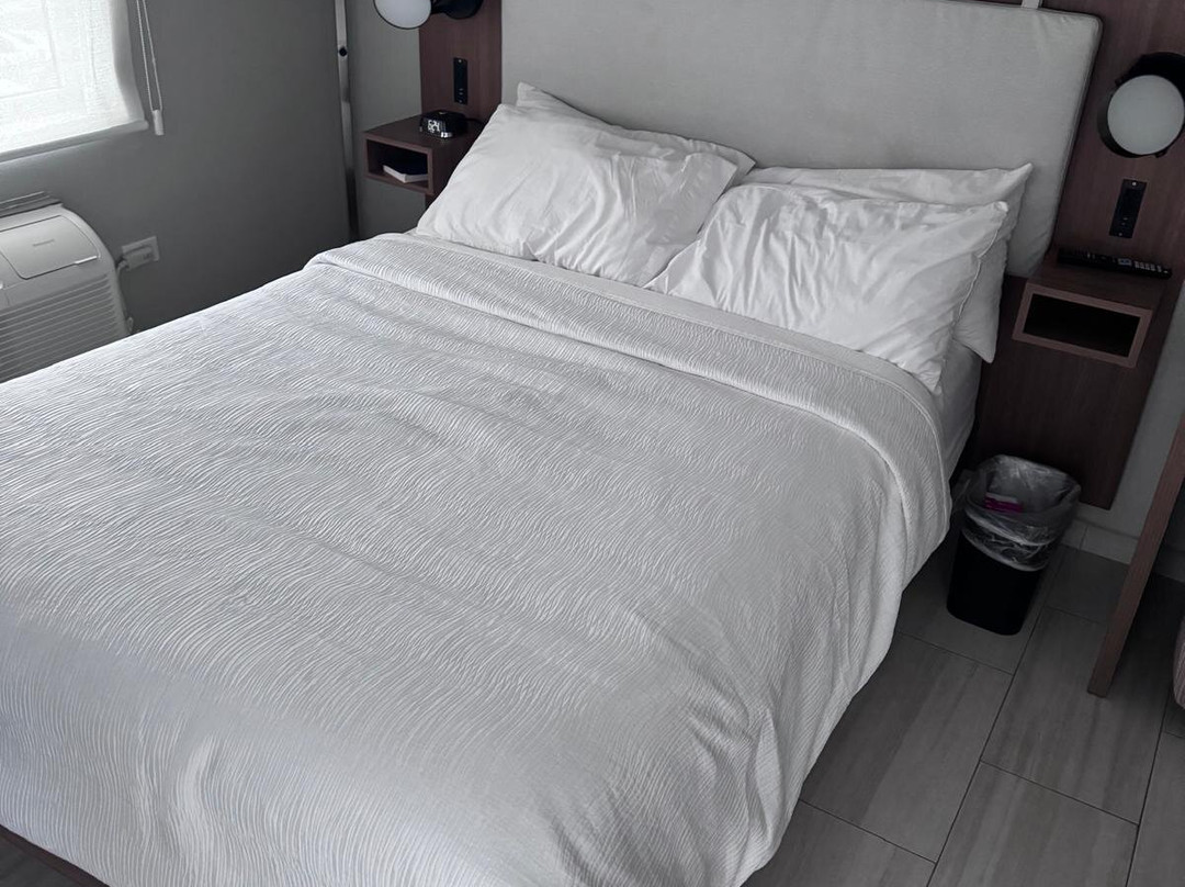 TRYP by Wyndham Mayaguez主图