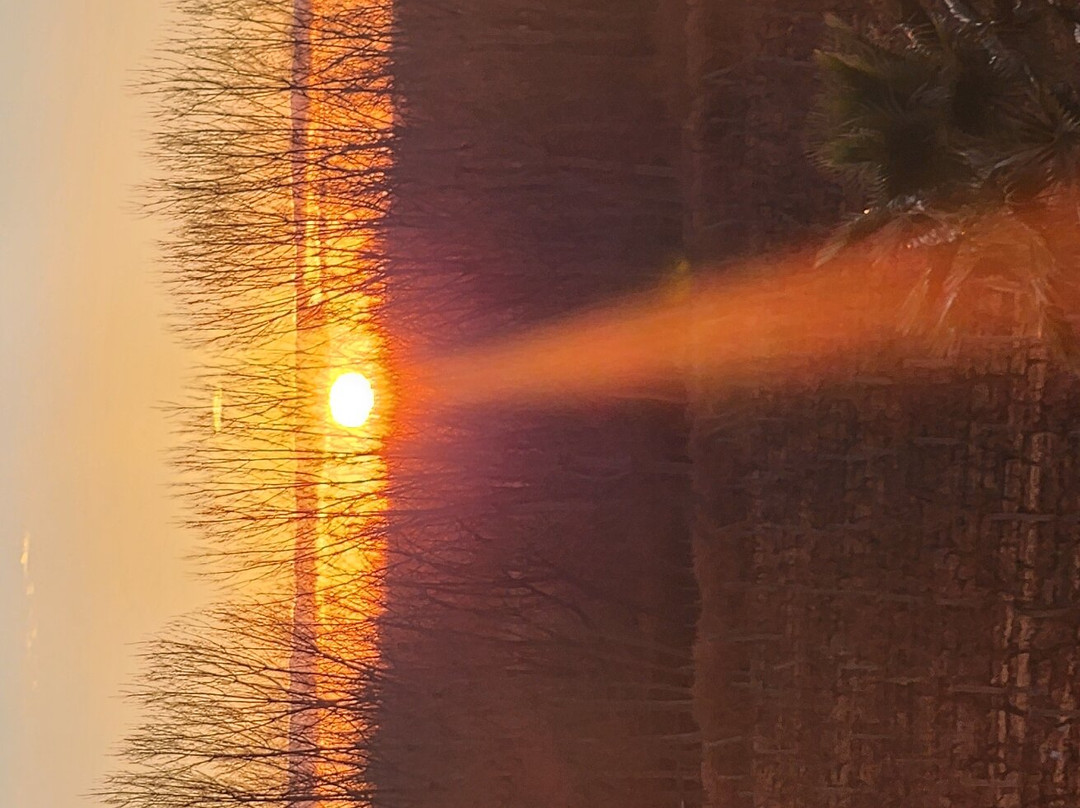 丰市长度假酒店主图