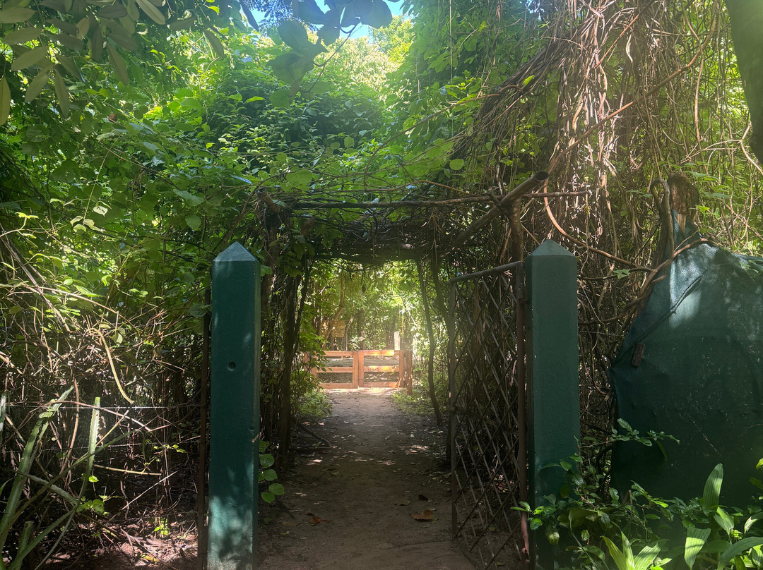 The Harmony Hotel主图