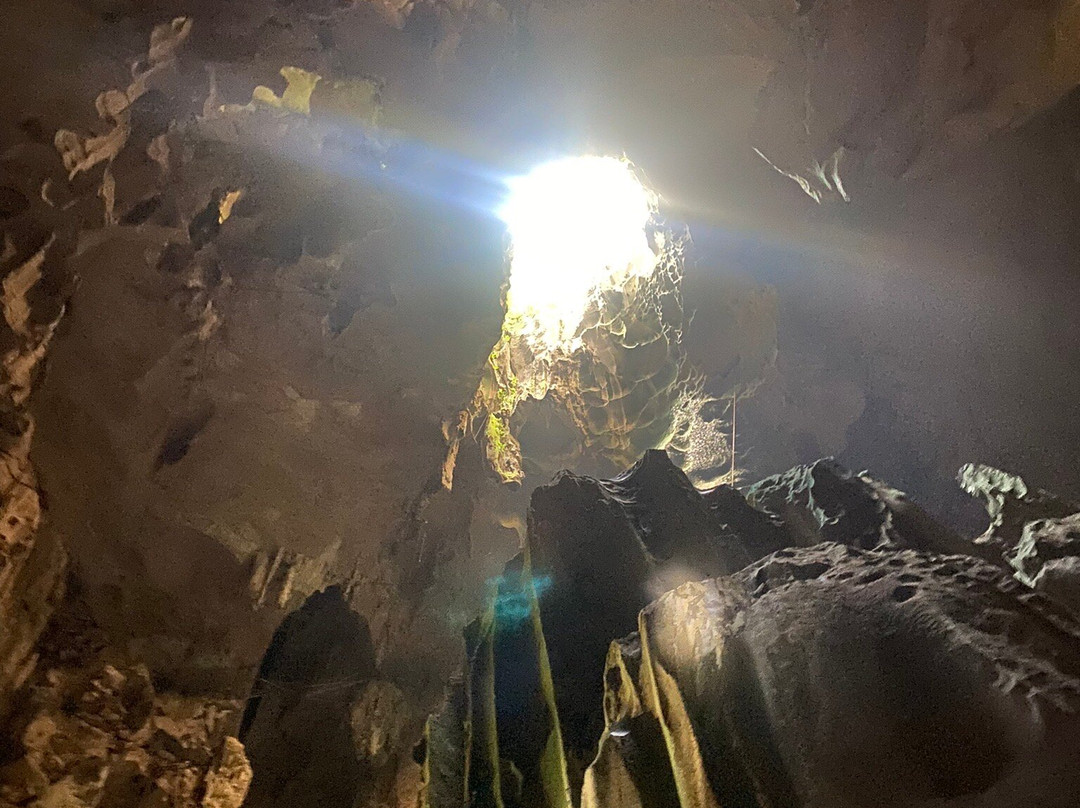 Gua Niah-美里必去景点