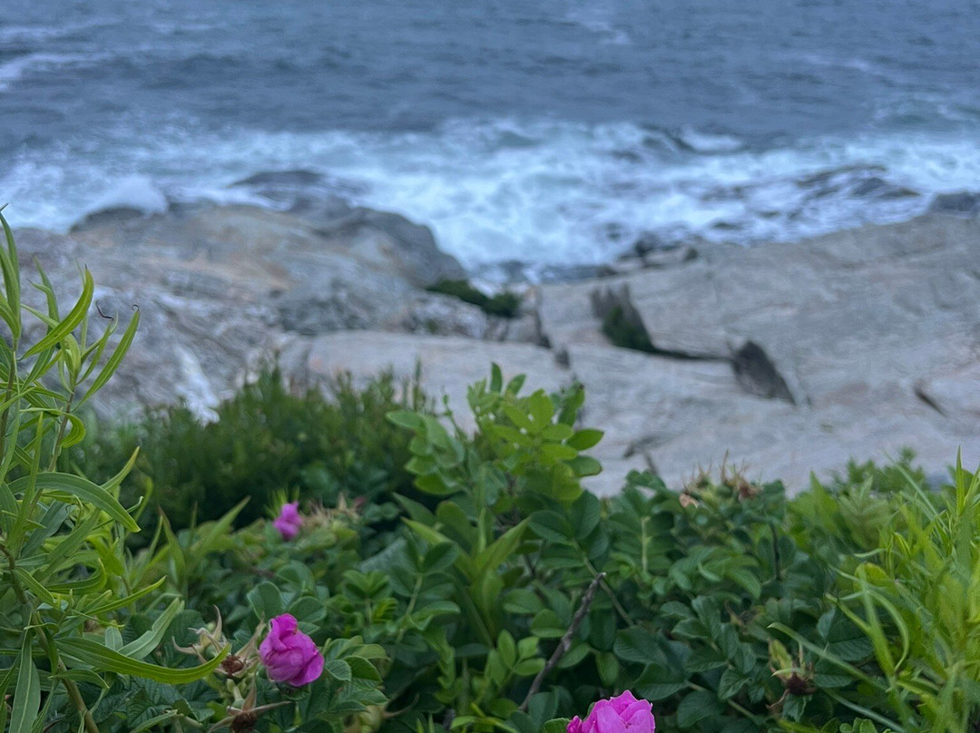 Lionel Champlin Guest House主图