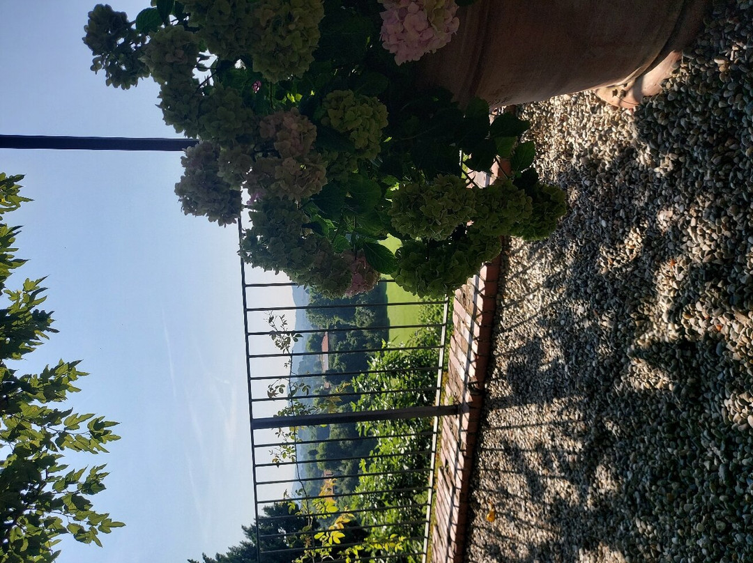 Agriturismo Il Belvedere主图