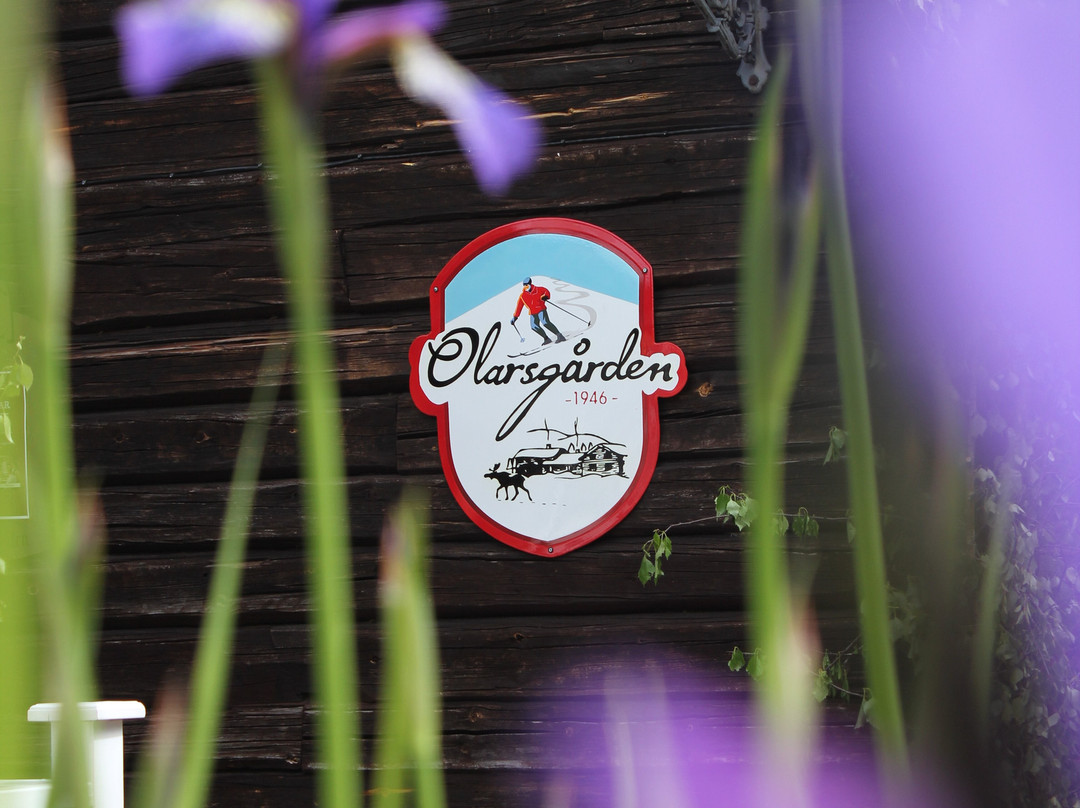 Olarsgården Hotel主图