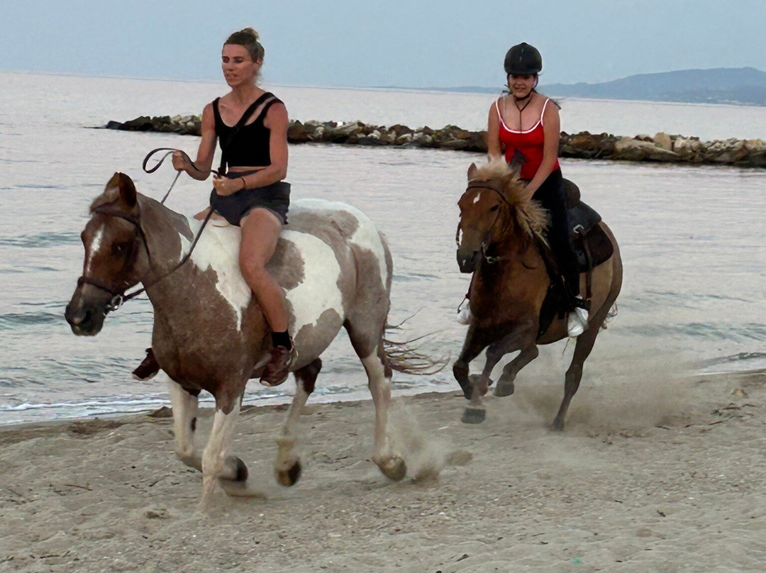 Horse-Ranch Manippos Halkidiki-Kassandra必去景点