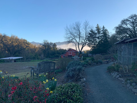 Meadowlark Country House & Resort主图